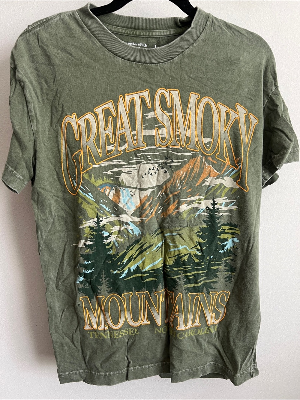 Abercrombie & Fitch Olive Green Great Smoky Mountains Graphic Tee